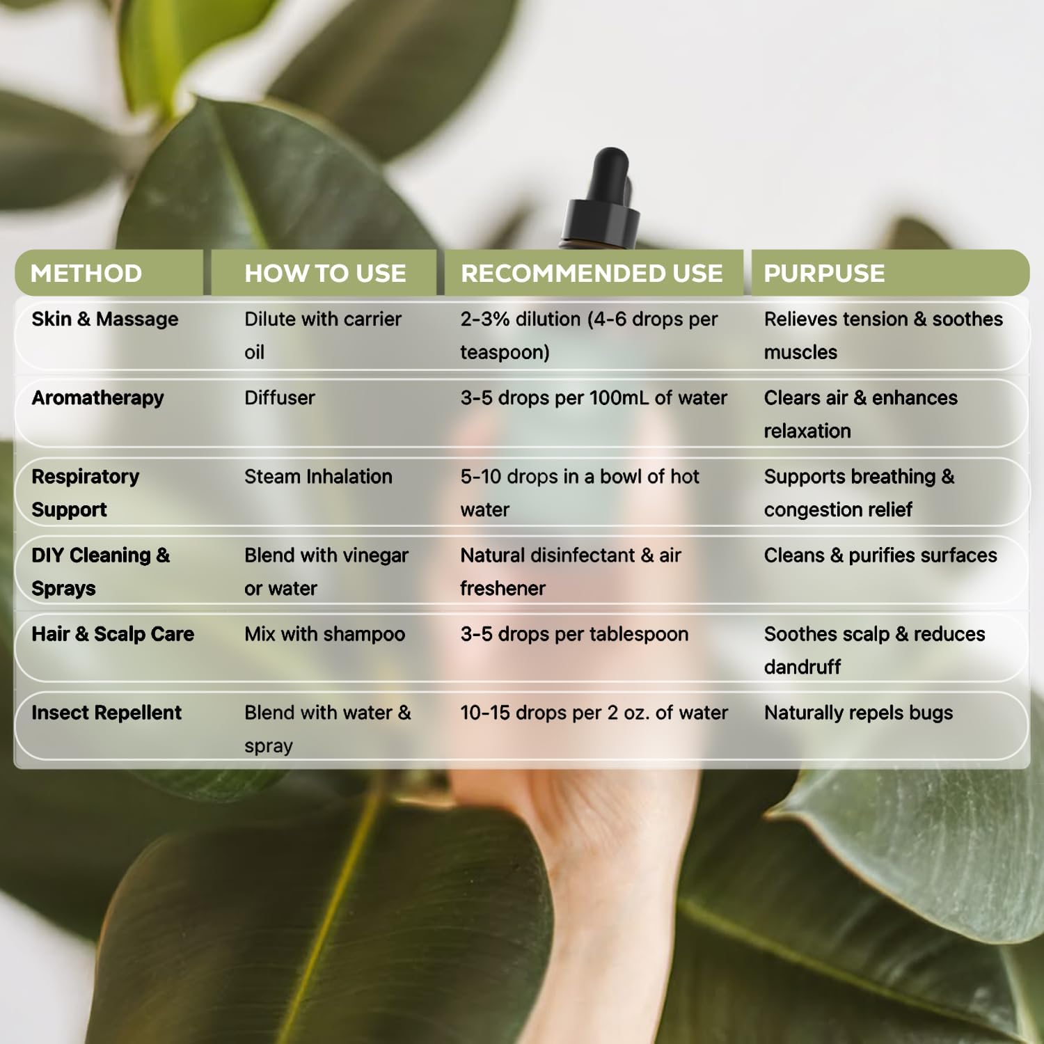 Eucalyptus oil graphic illustrating common uses including massage, aromatherapy, respiratory support, DIY cleaning sprays, hair and scalp care, and natural insect repellent